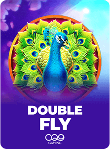 Double Fly